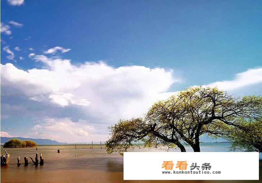 重庆自驾山东路线推荐？