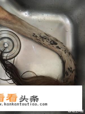牛尾巴汤的做法？