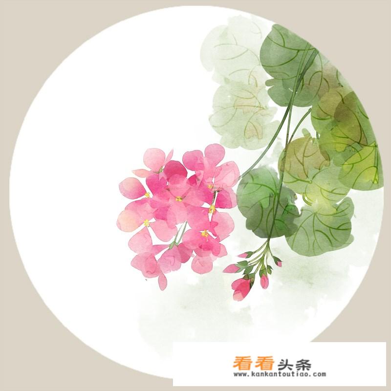 请以“朕的皇后，朕待你不薄，你何要逃