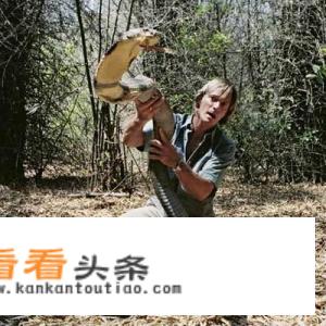 眼镜王蛇在亚洲能不能算的上杀手之王？