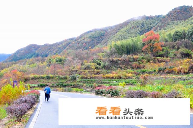 十一月底去婺源要穿什么衣服？
