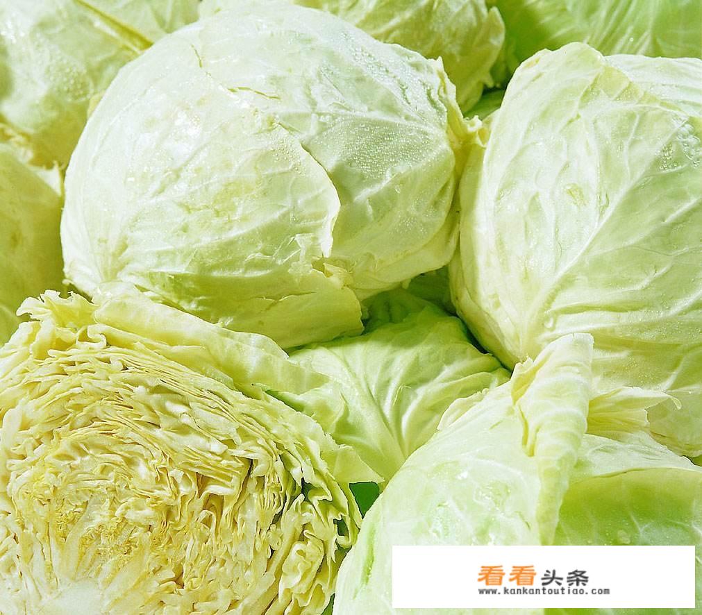 包心菜的家常做法简单好吃？