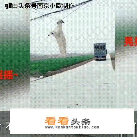 手机游戏删除了怎么可以还原？