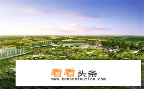 旅游总体规划包括些什么内容？