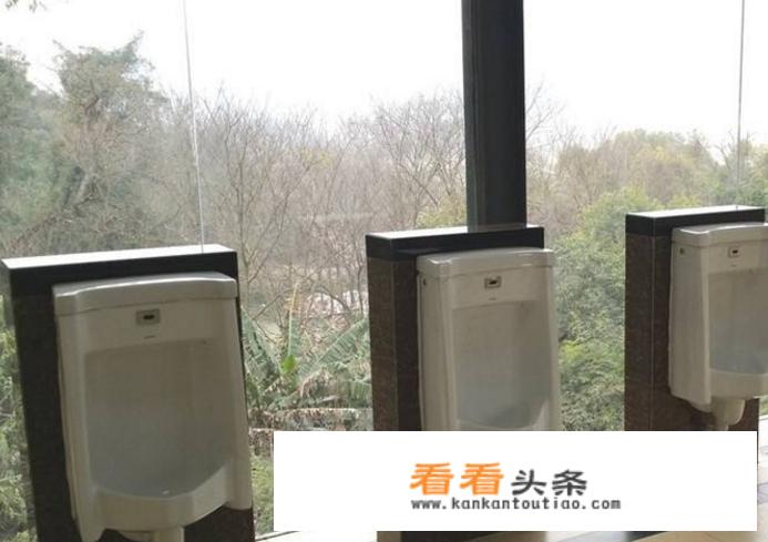 怎么看待桂林景区现五星级透明厕所，景区称上厕所心情会更好？