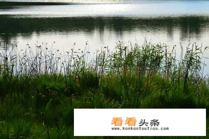 去多伦旅游需要准备什么？