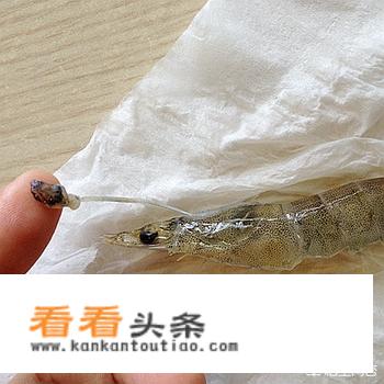 螺旋藻怎么吃？
