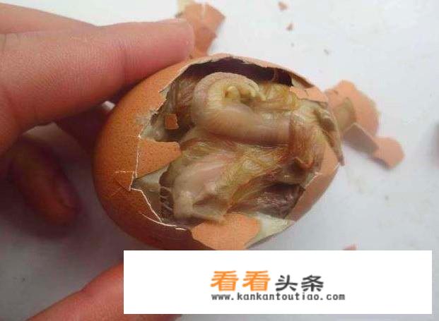 毛蛋真的比鲜鸡蛋有营养吗？毛蛋有哪些营养价值？