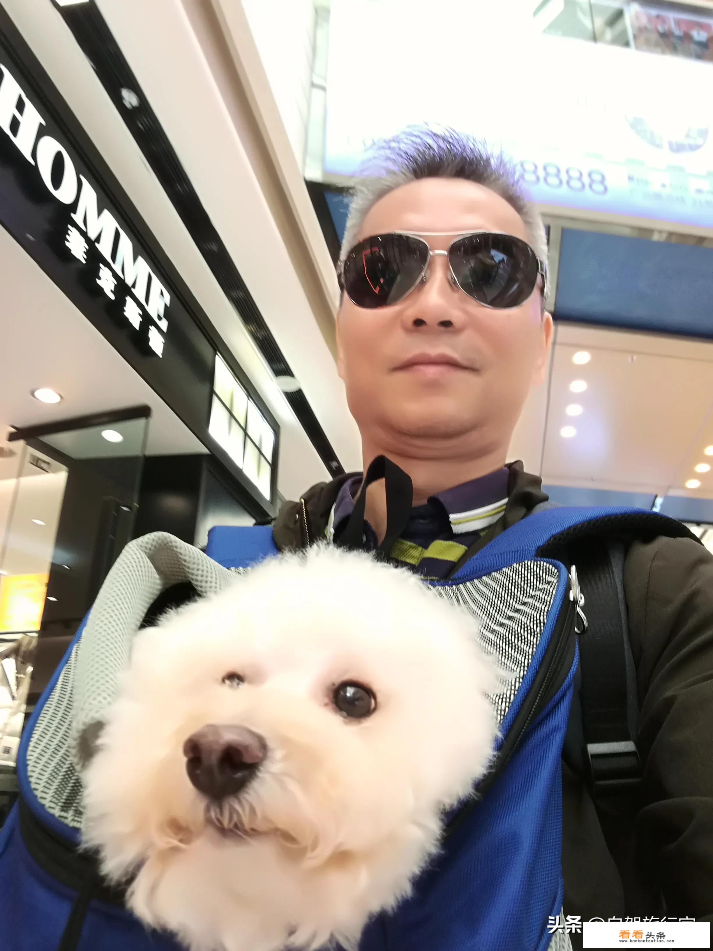 小狗爱旅游最后一关怎么通过？