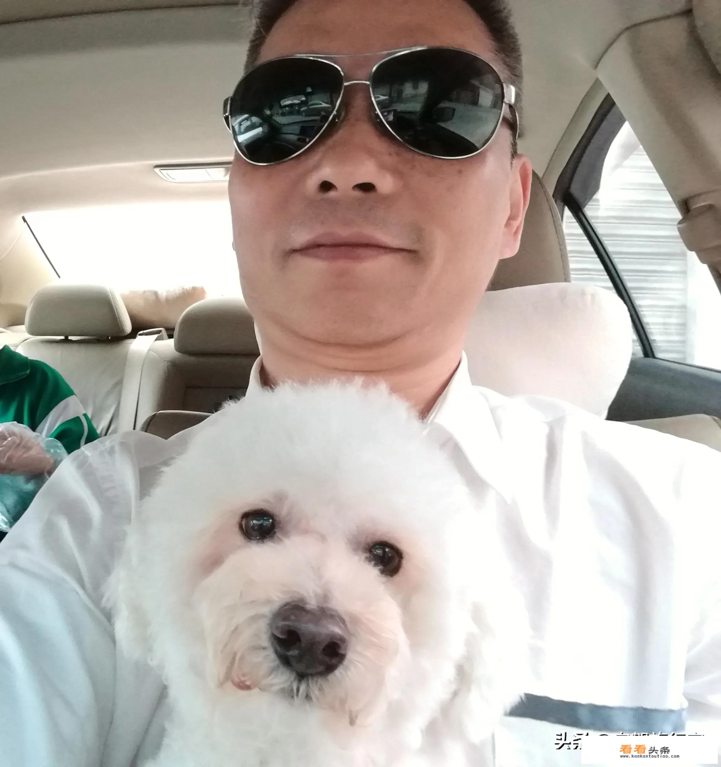 小狗爱旅游最后一关怎么通过？