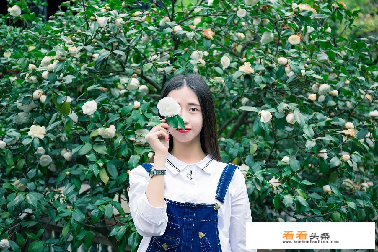 关于旅行的唯美段子？