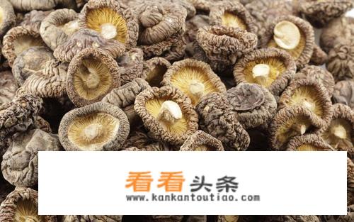 小鸡炖蘑菇东北做法？