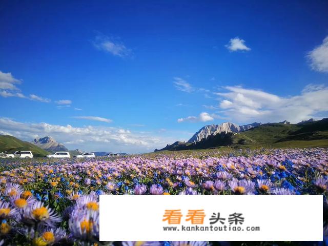 我想去青海和西藏，请问谁知道什么理想的旅游线路么？