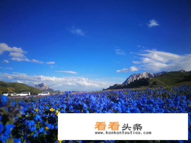 我想去青海和西藏，请问谁知道什么理想的旅游线路么？