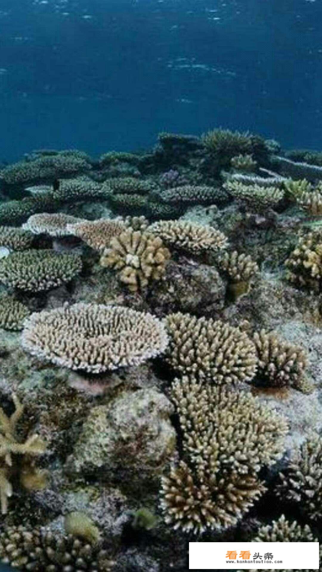 海南十大人工岛排名？