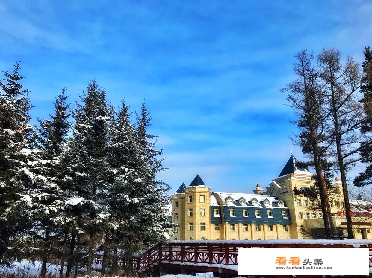 有没有什么能自动生成旅行计划的网站或者app？