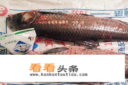 深海咸鱼怎么做好吃？