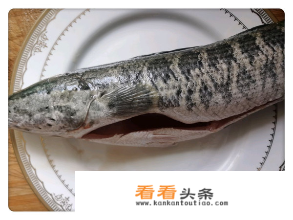 黑鱼怎么做好吃又简单家常的？