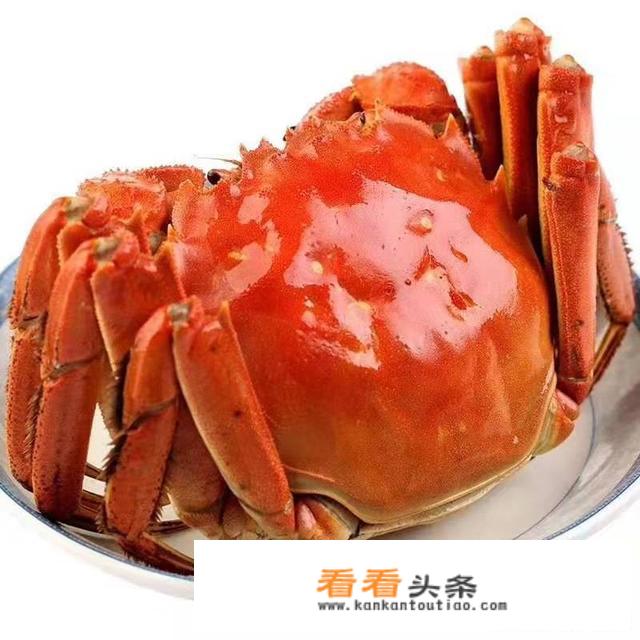 中秋节到了要送礼，如何才能团购到正宗阳澄湖大闸蟹？