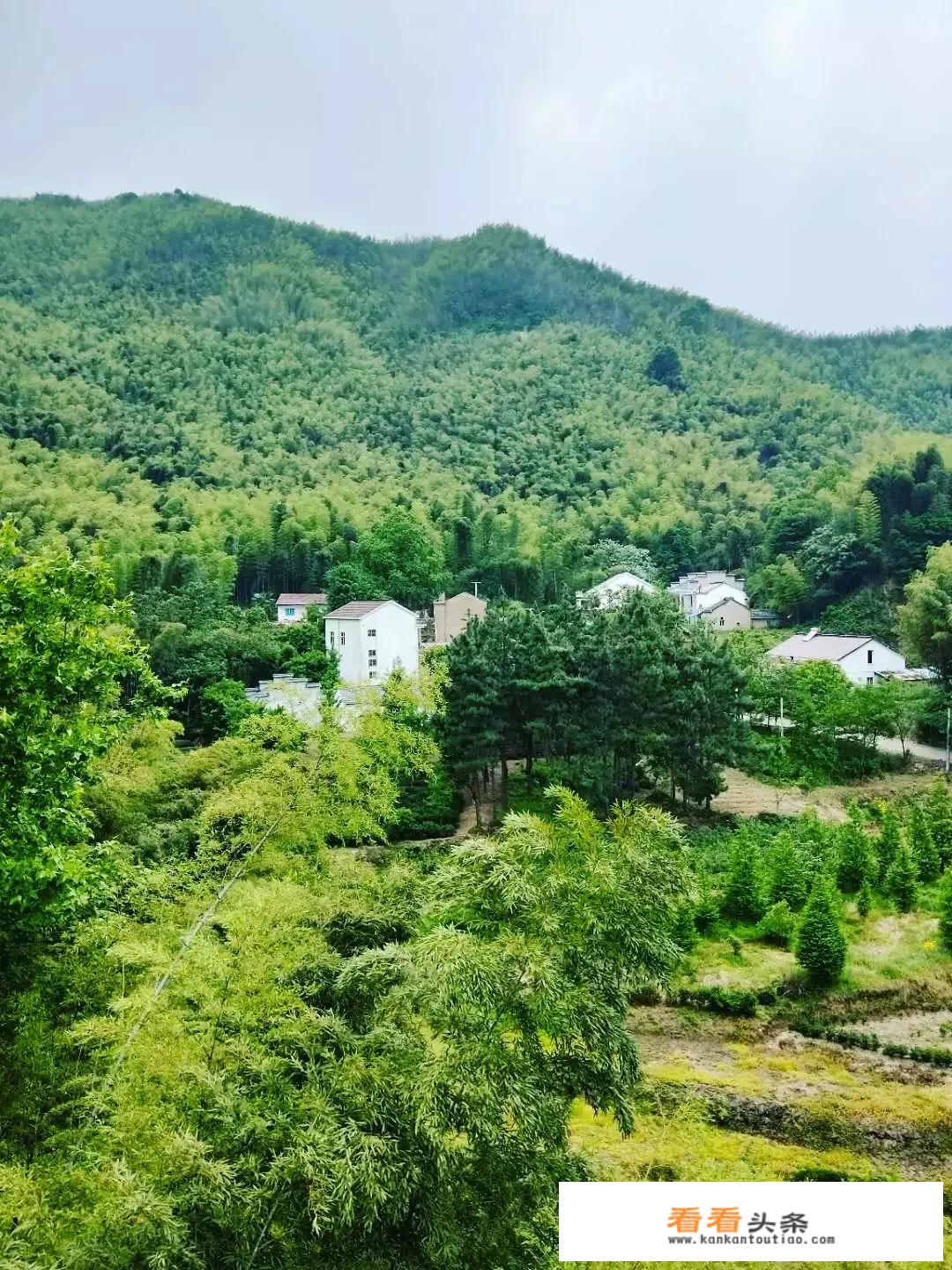 乡村旅游、红色旅游平台的前景如何？