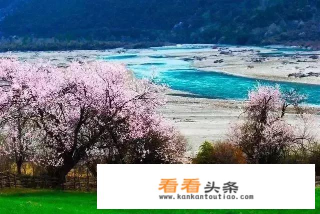 去西藏旅游西藏当地可以临时组团吗？