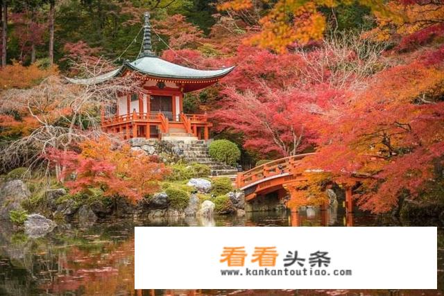 每年的几月份适合去日本东京游玩？