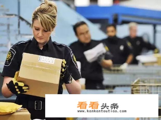 游港珠澳的更佳旅游攻略？