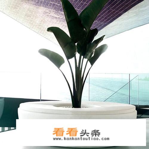 玻璃钢花盆价格是多少呢？