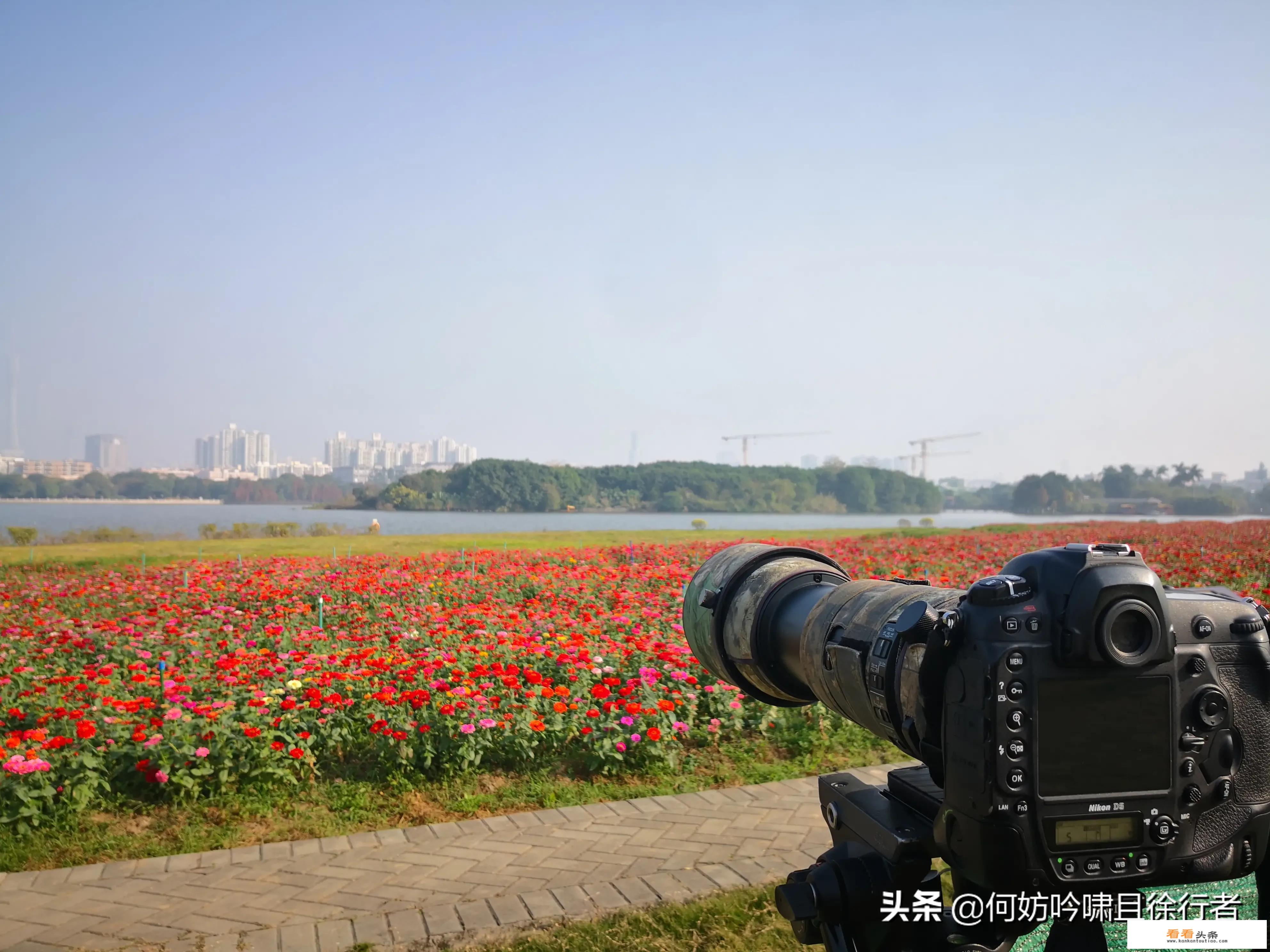 乡村旅游接待的技术规范包括哪些？
