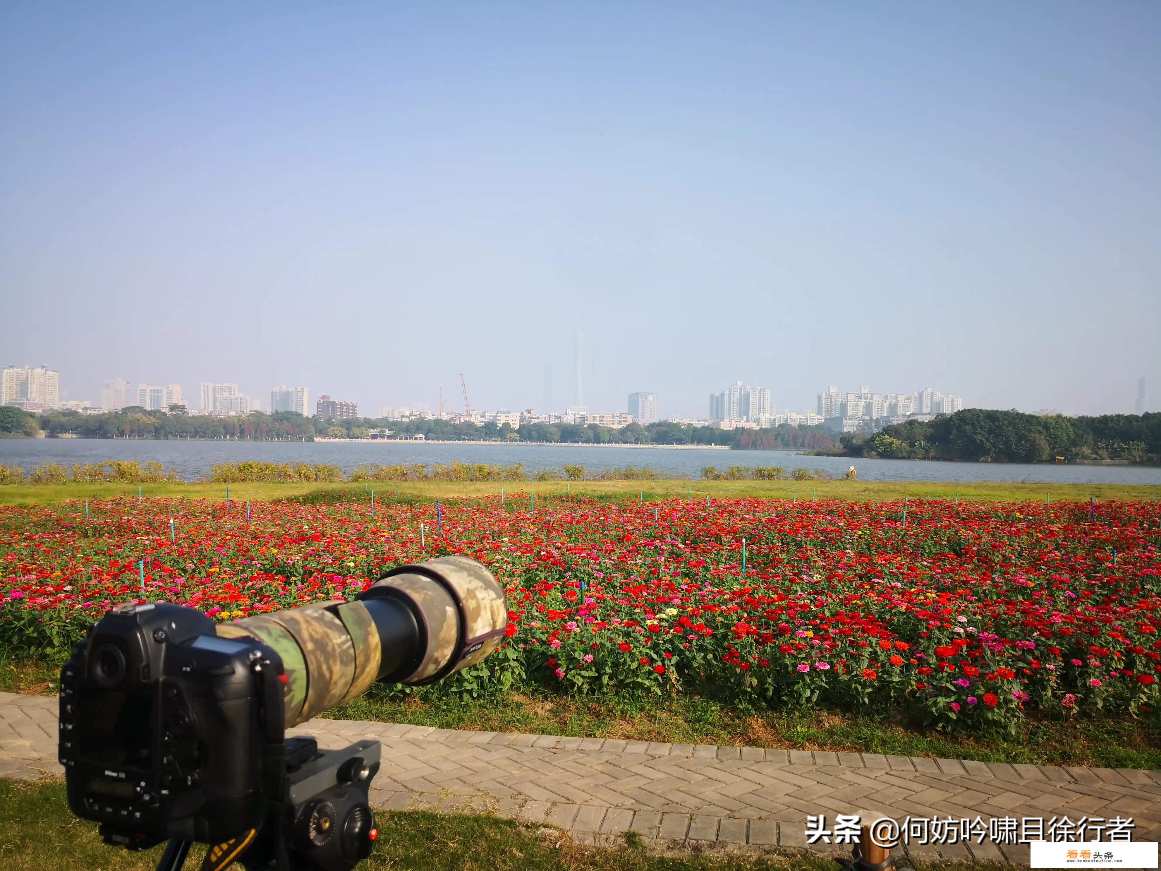 乡村旅游接待的技术规范包括哪些？