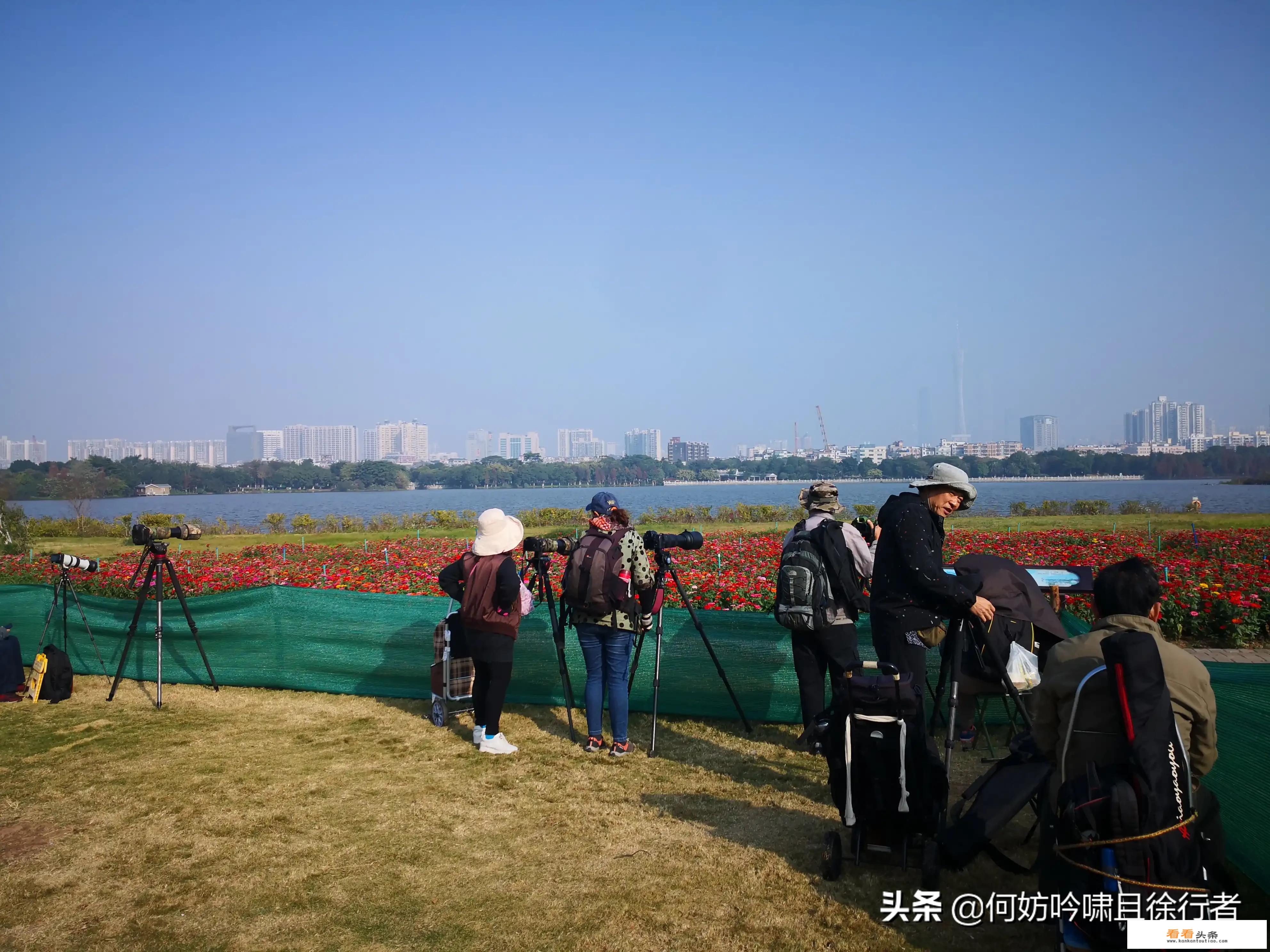 乡村旅游接待的技术规范包括哪些？