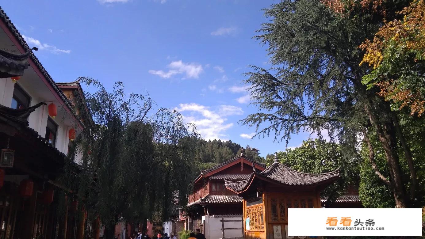 务川一名男子在景区游玩，居然还醉驾驾驶车辆，胆儿真大, 你怎么看？