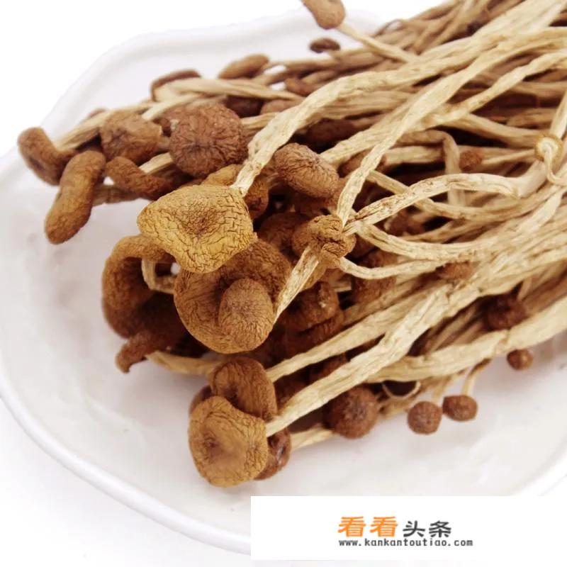 茶树菇鸡肉可以做干锅吗？