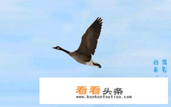 全国自驾游一年费用？
