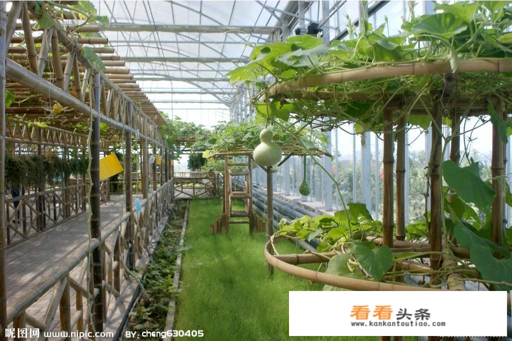 在河北临城太行山上有六百亩水平沟和十亩水面的水库，怎么做旅游农业？