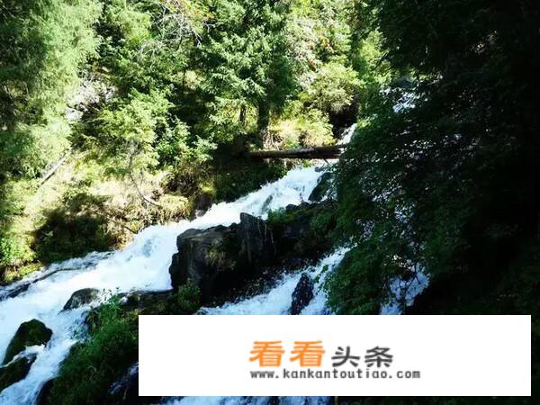 旅游的好处和不足有哪些？