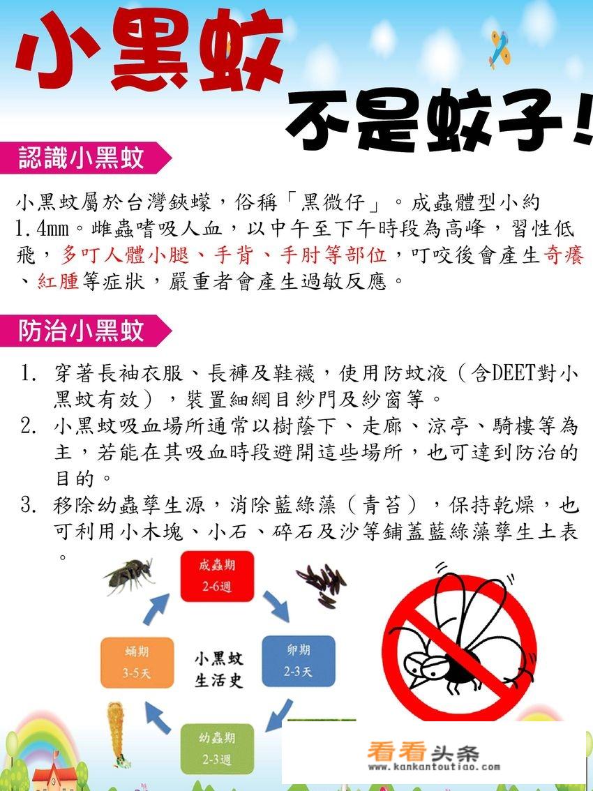 去台湾的花莲旅行需要准备什么东西？