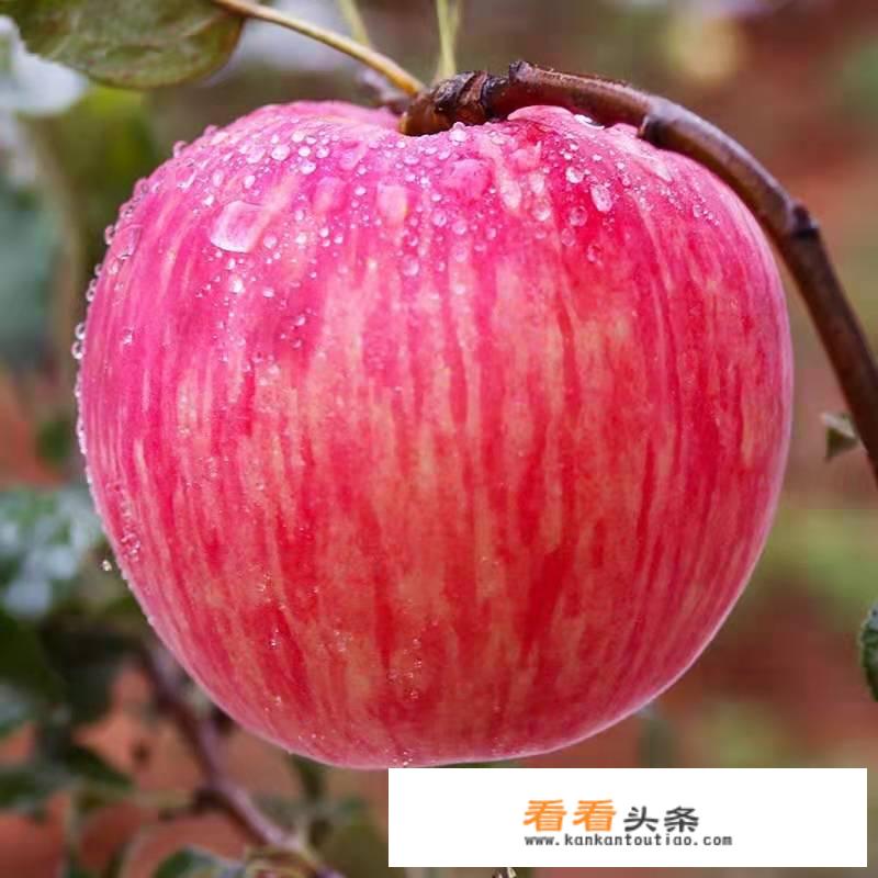 冬瓜汁配什么榨才好喝？