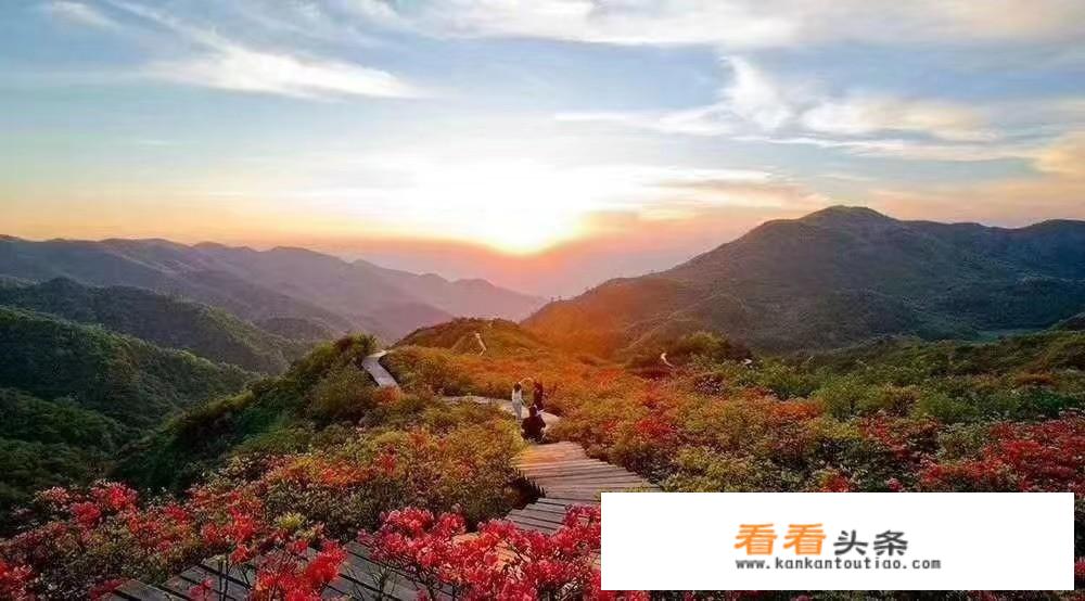 旅游市场有哪些？