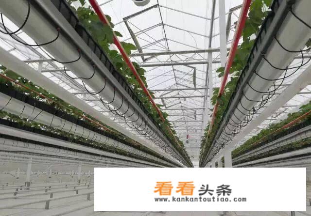 辐射测试仪多少安全？
