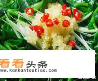 凉拌穿心莲怎么做？