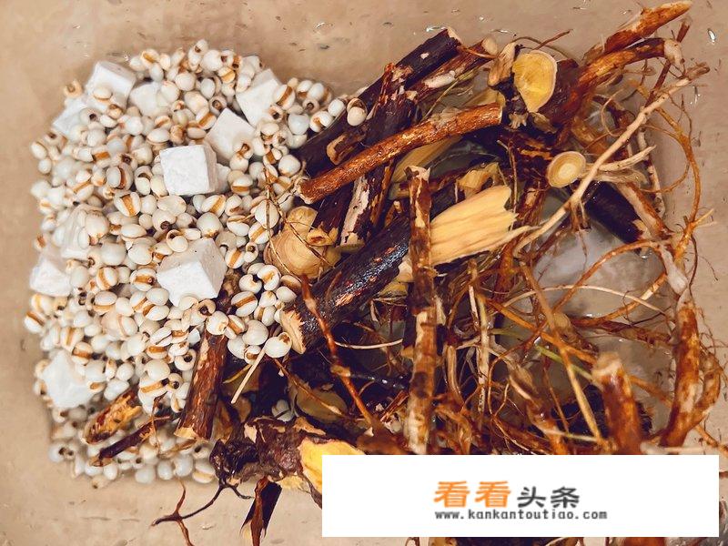 五指毛桃煲汤的用量为多少？