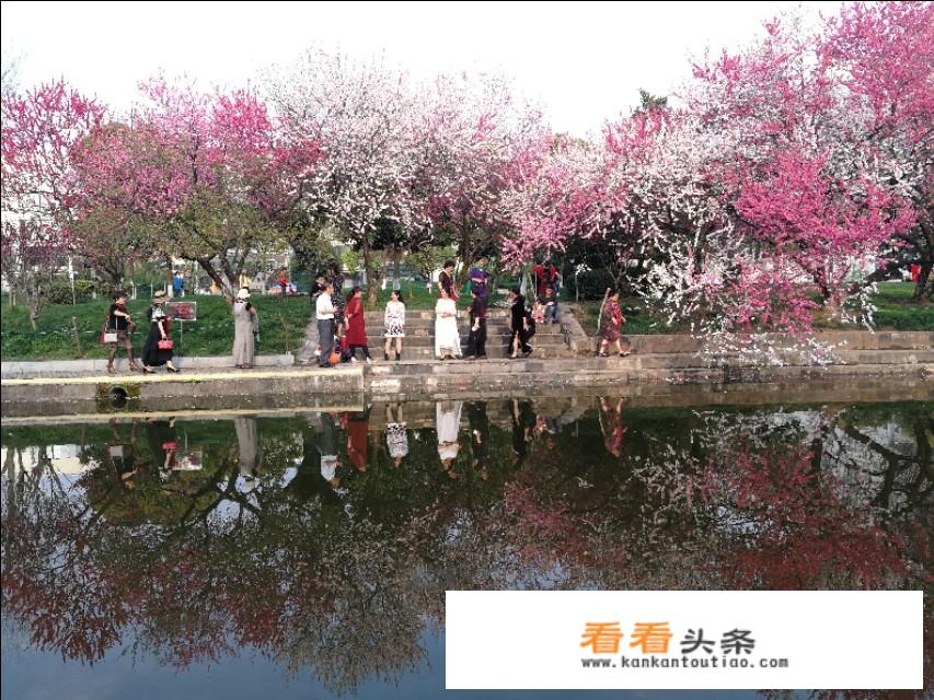 宜昌春天赏花好去处？宜昌春天赏花推荐地点有哪些？