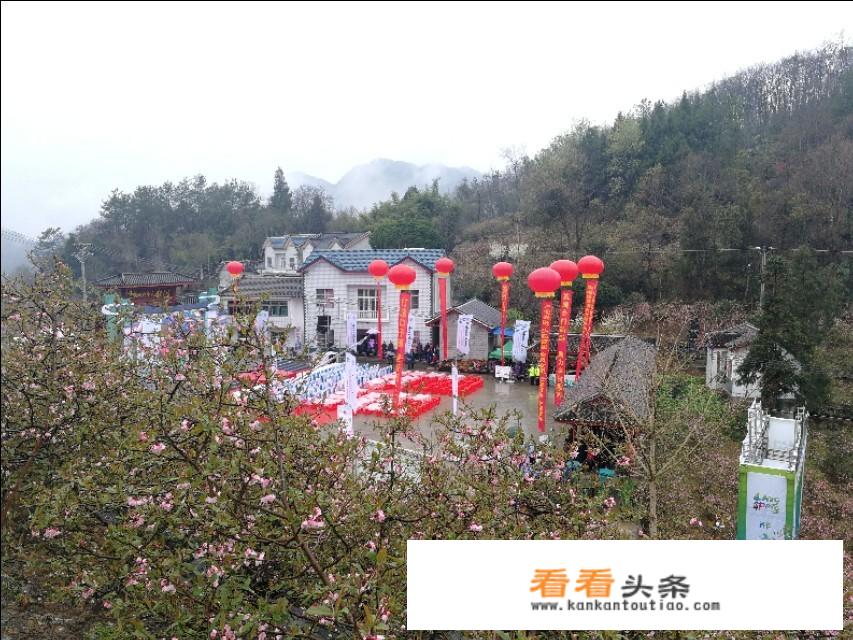 宜昌春天赏花好去处？
