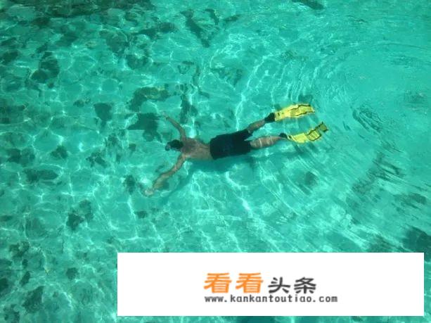 泰国可以潜水吗？什么时候最适合去泰国潜水？泰国潜水攻略，更佳潜水时节是什么时候？