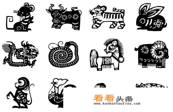 拨云见日代表什么生肖？