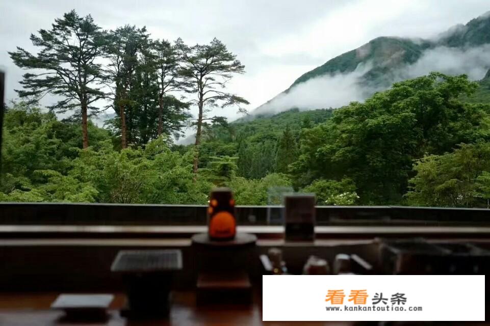 如何推动传统文化与乡村旅游发展？