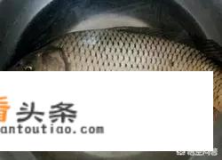 土豆炖鱼的做法步骤图，土豆炖鱼怎么做好吃？