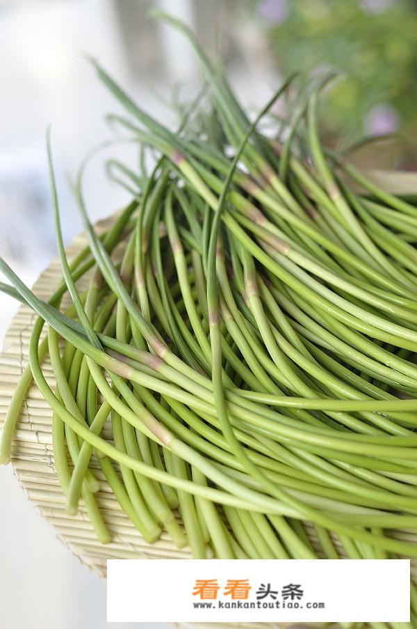 蒜苔腌制做法大全？