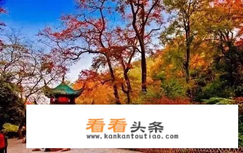 十大夜景长沙？